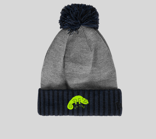 Navy & Grey Beanie